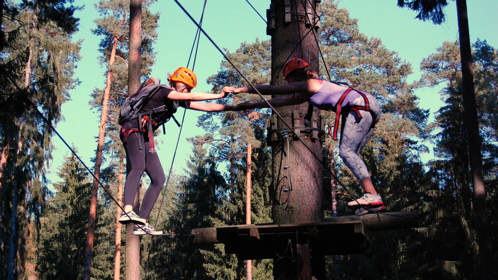 2018 09 19 Rl Teamevent Kletterwald 18