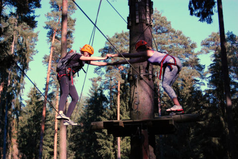 2018 09 19 Rl Teamevent Kletterwald 18