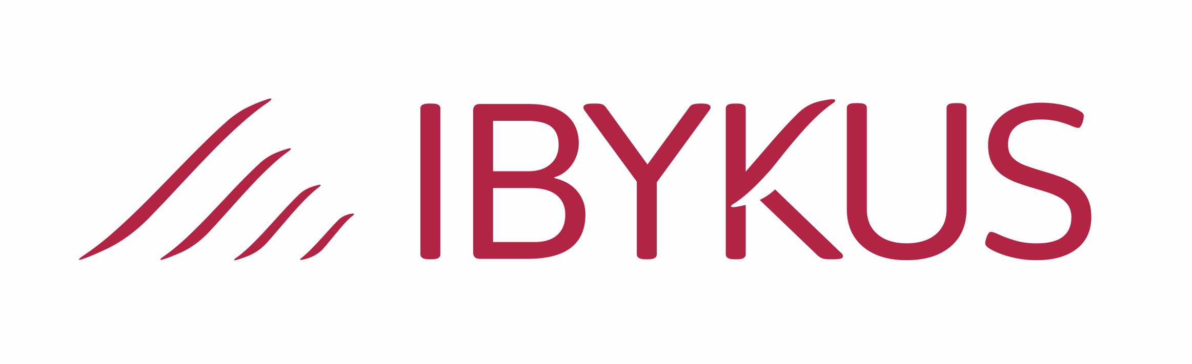 IBYKUS AG